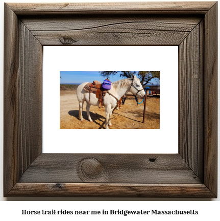 horse trail rides near me in Bridgewater, Massachusetts